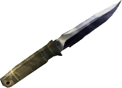 Bowie Knife